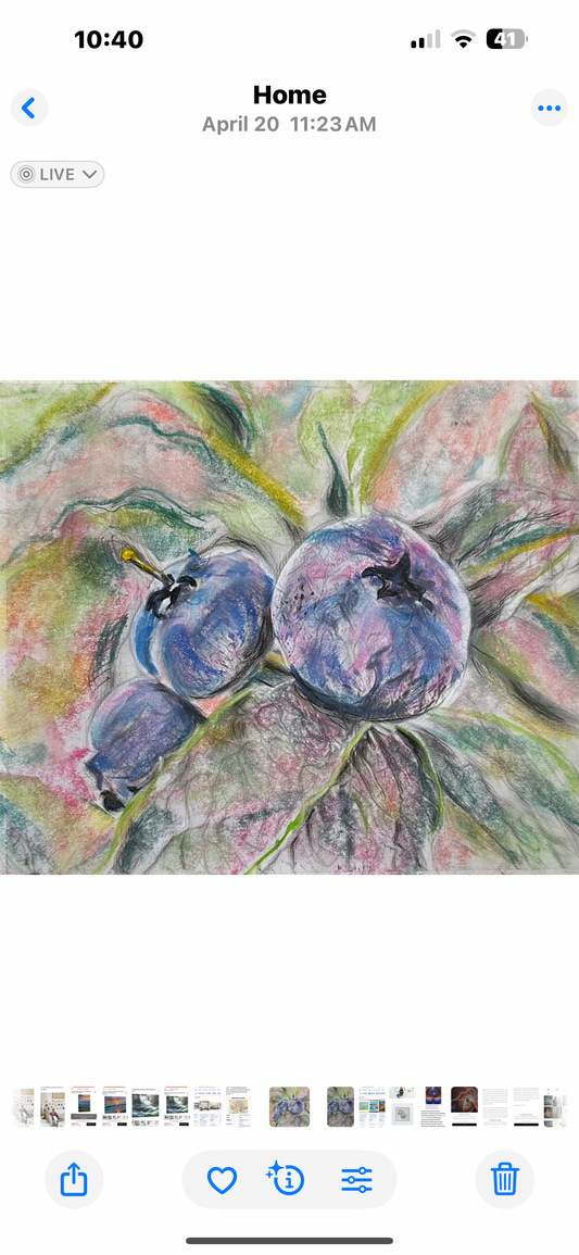 What Does The Fox Say?