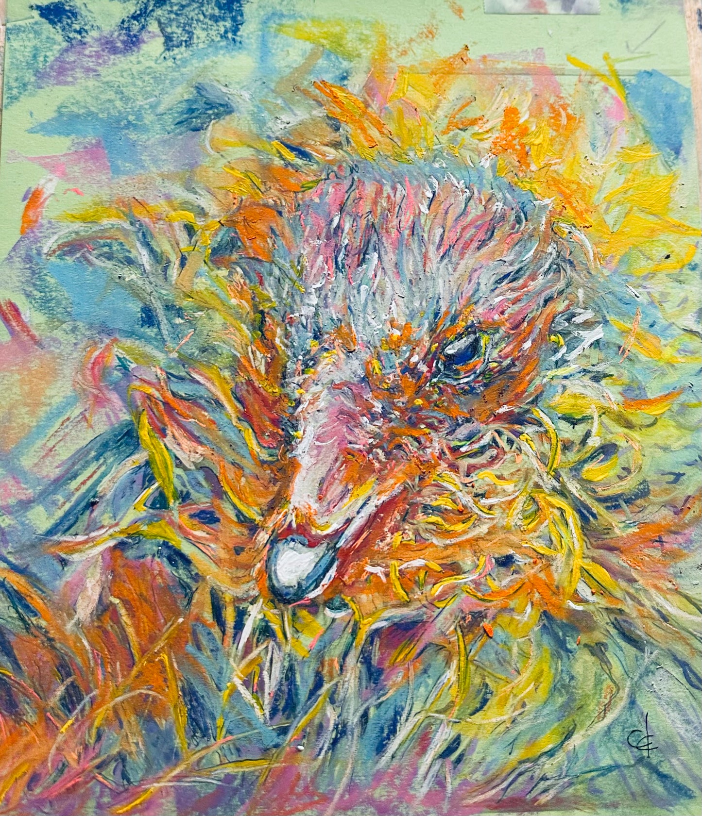 Wild Turkey
