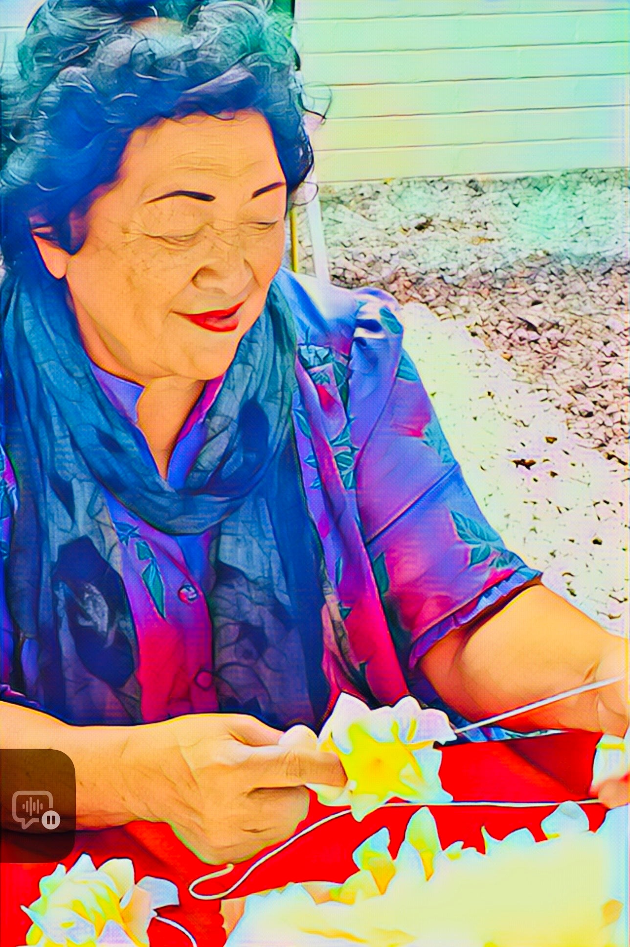 What Does The Fox Say?