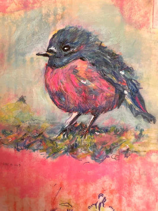 pink robin